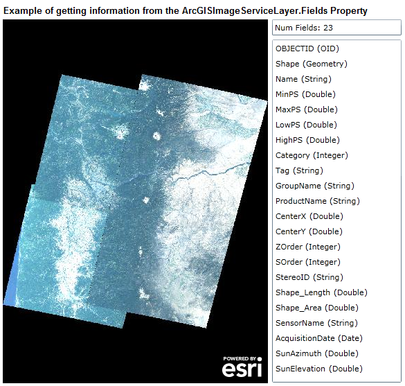Displaying the ArcGISImageServiceLayer.Fields Properties of Name and Type.