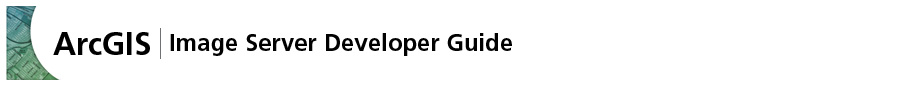 ArcGIS Image Server